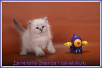 Невские маскарадные вязка